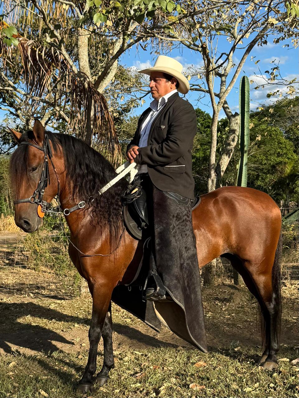 Titan de Villa Angelica